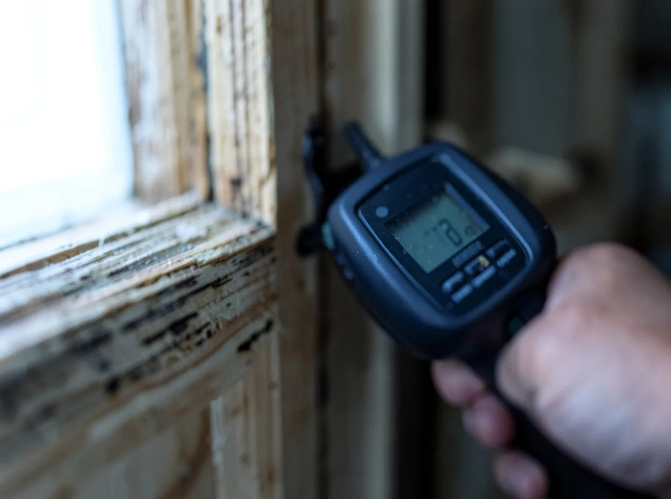 Moisture Inspection And Documentation in Picacho, AZ